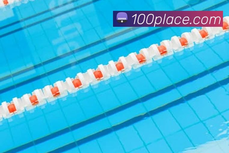 App Interface Preview